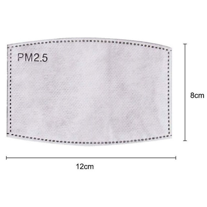2PCS Mask Filter Element PM2.5 - Pm2.5 Filter Insert reseña y precio